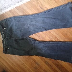 Venezia Blue Flare Wide Leg Jeans